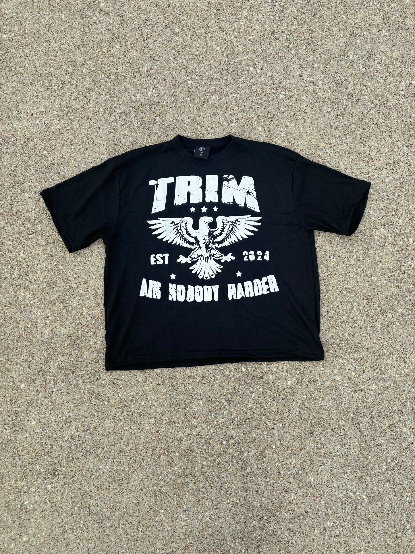Ain nobody harder shirt